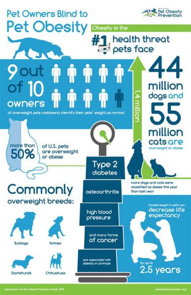 Is your pet overweight?