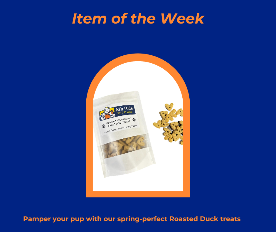 Explore One Our Seasonal Favorites: Treat Your Pet to Roasted Duck Delights!